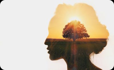 Mental health interpreter image